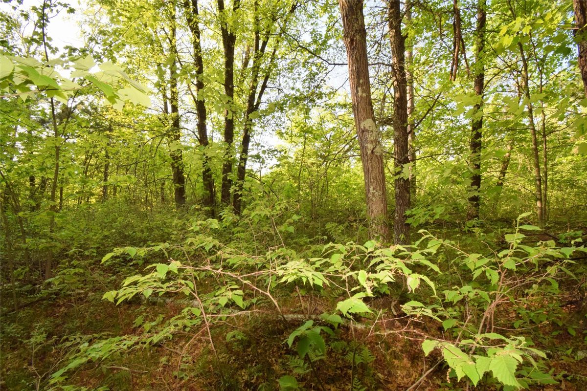Lot 31 Setting Sun Trail Way, Danbury WI 54830 - Land house for sale - MLS #1601782 - image16