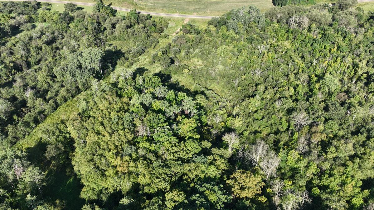 XX County Road O, Boyceville WI 54725 - Land house for sale - MLS #1604881 - image4