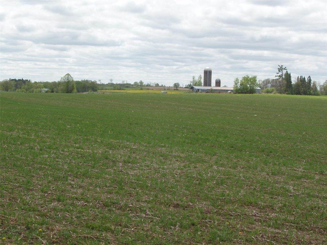 W9002 Moonshine Alley, Catawba WI 54514 - Residential house for sale - MLS #1601811 - image37