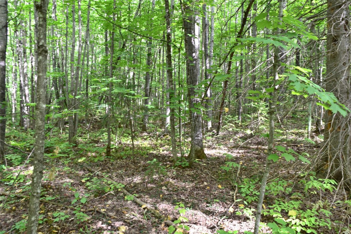 26615 Star Route Road, Bayfield WI 54814 - Land house for sale - MLS #1604800 - image39