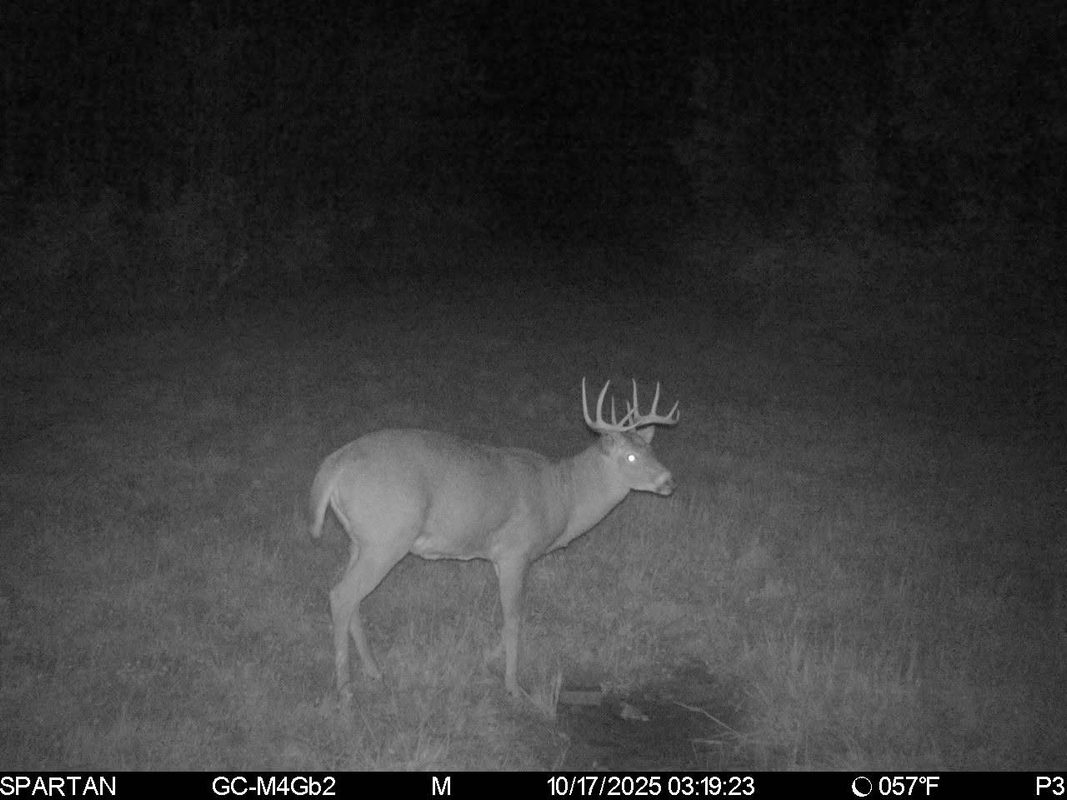 On County Road H, Radisson WI 54867 - Land house for sale - MLS #1603350 - image31