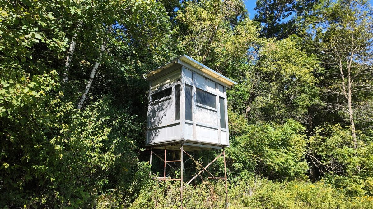 S828 Julson Ridge Road, Independence WI 54747 - Land house for sale - MLS #1605005 - image25