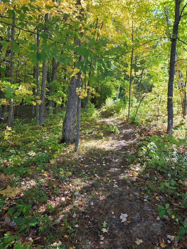 351 25 1/4 Avenue Cumberland WI 54829 - image49