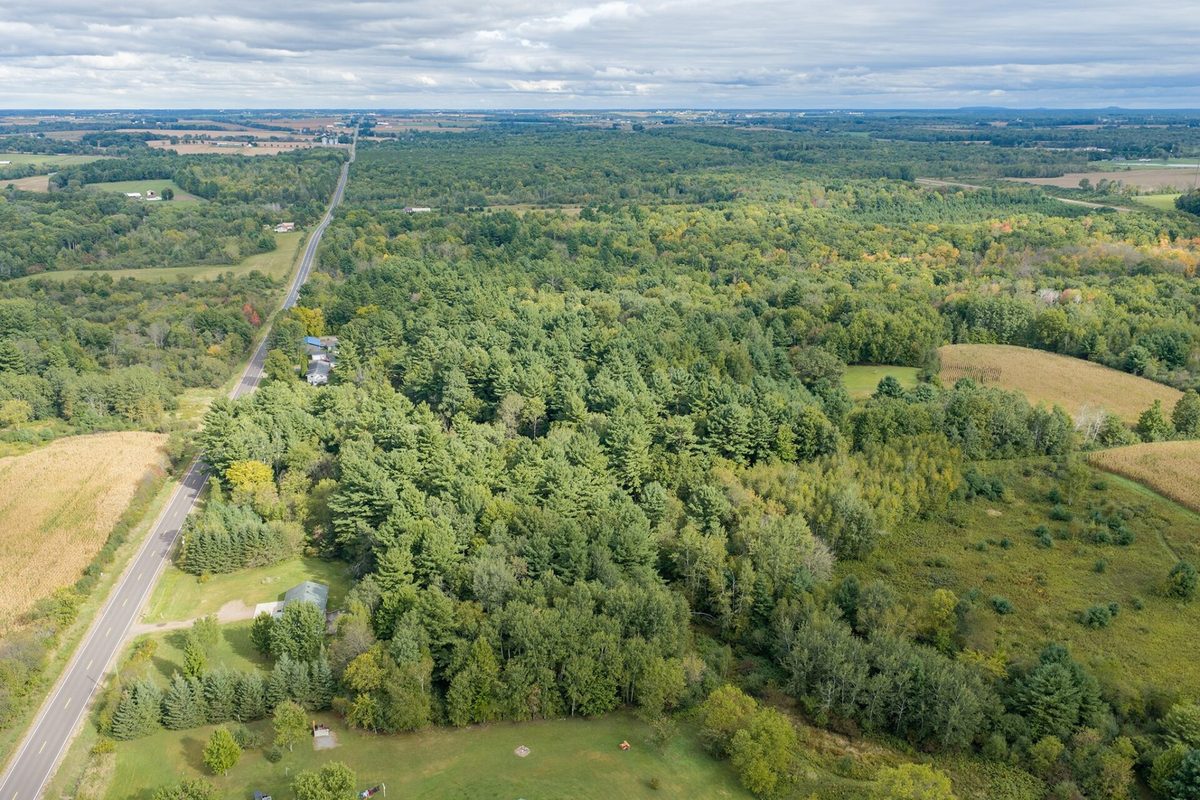 Lot 2 County Hwy X, Cadott WI 54727 - Land house for sale - MLS #1605345 - image3