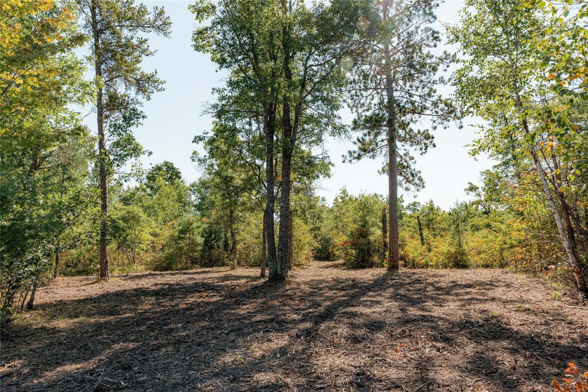 0 County Road T, Minong WI 54859 - Land house for sale - MLS #1605534 - image8