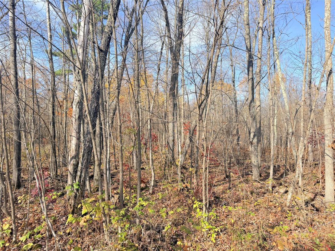 0 County Highway C, Rice Lake WI 54868 - Land house for sale - MLS #1605929 - image58
