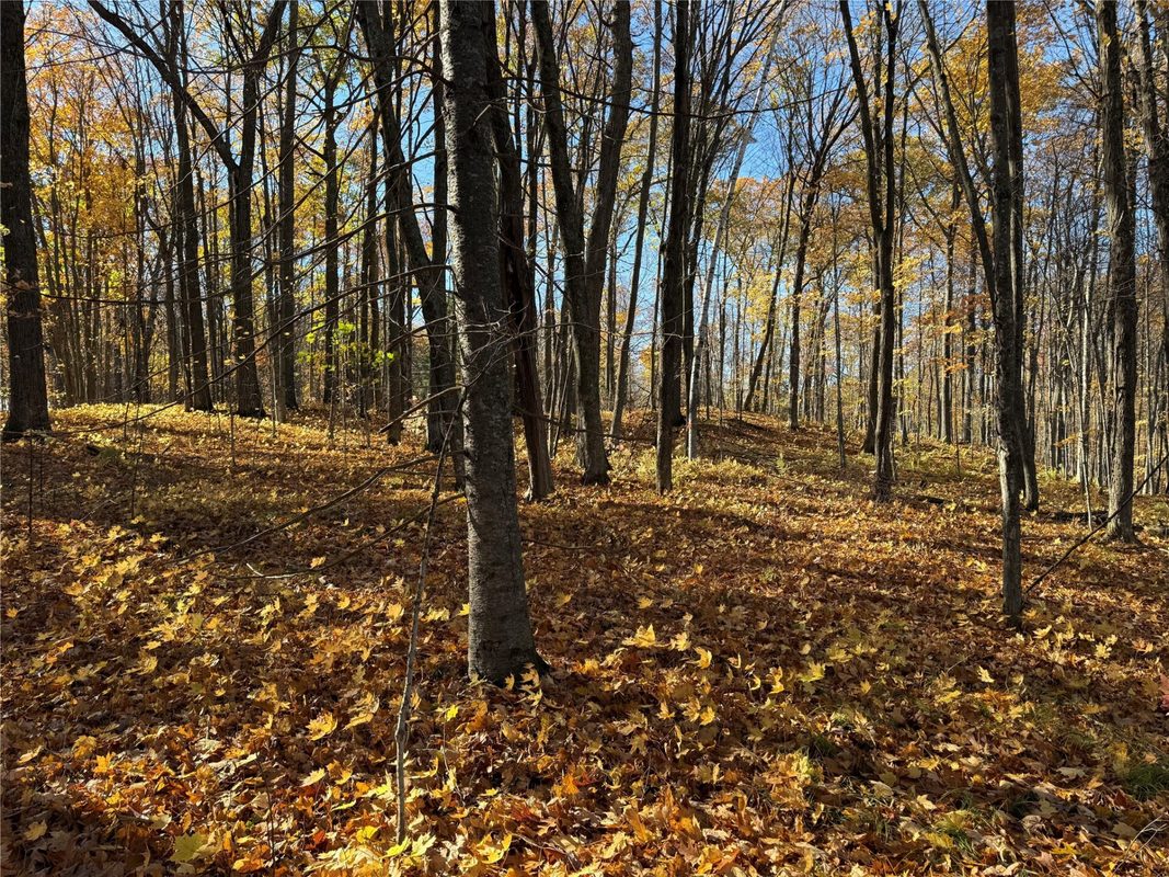 XXX County Hwy MD, Sarona WI 54870 - Land house for sale - MLS #1605948 - image24