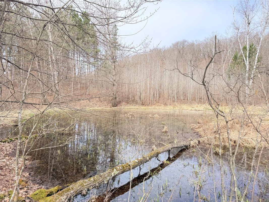 Lot 3 Big Lake Drive, Osceola WI 54020 - Land house for sale - MLS #1599897 - image16