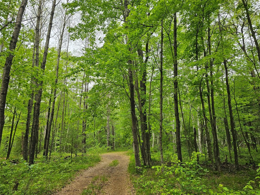 25227 Kruger Road, Webster WI 54893 - Land house for sale - MLS #1601553 - image6