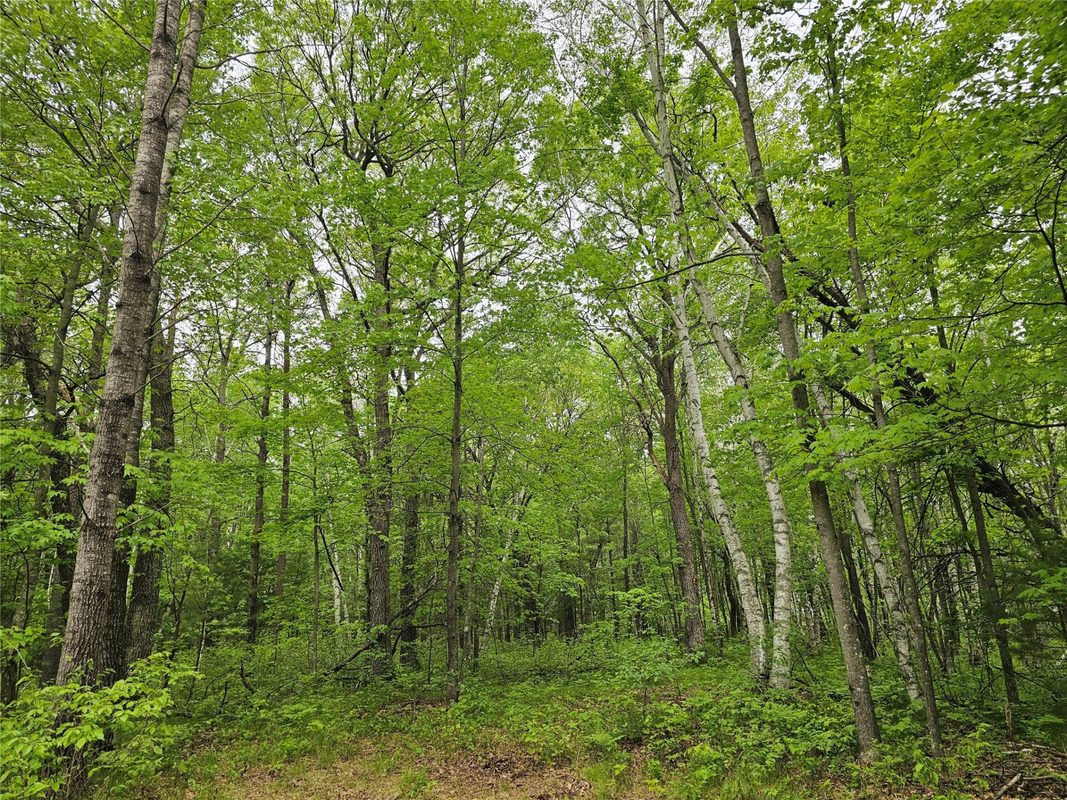 25227 Kruger Road, Webster WI 54893 - Land house for sale - MLS #1601553 - image8