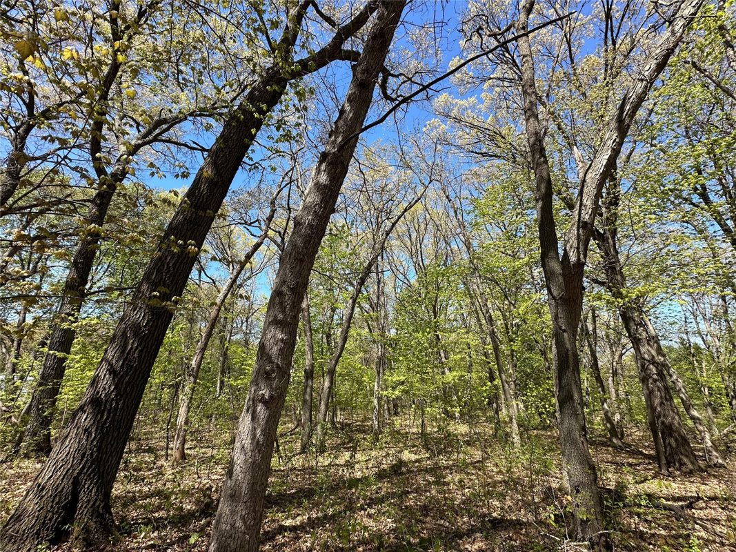 1438 Pleasant Hill Road, Eau Claire WI 54703 - Land house for sale - MLS #1602766 - image46