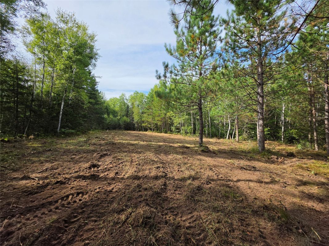 20 Acres Adams Road, Bruce WI 54819 - Land house for sale - MLS #1602683 - image21