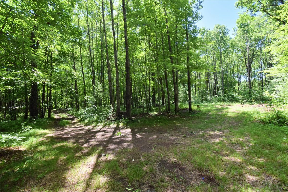 25227 Kruger Road, Webster WI 54893 - Land house for sale - MLS #1601553 - image12