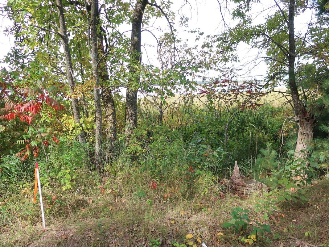 TBD Old 35, Siren WI 54872 - Land house for sale - MLS #1605520 - image10