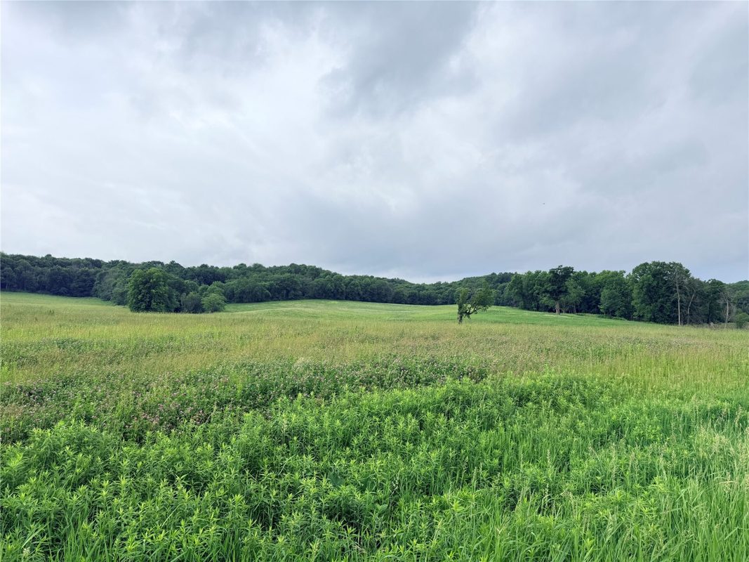 0 Grandview Drive, Fall Creek WI 54727 - Land house for sale - MLS #1603307 - image12