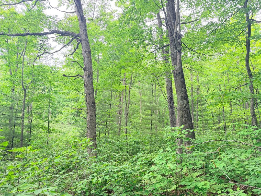 0 Schultz Lane, Stone Lake WI 54876 - Land house for sale - MLS #1601955 - image6
