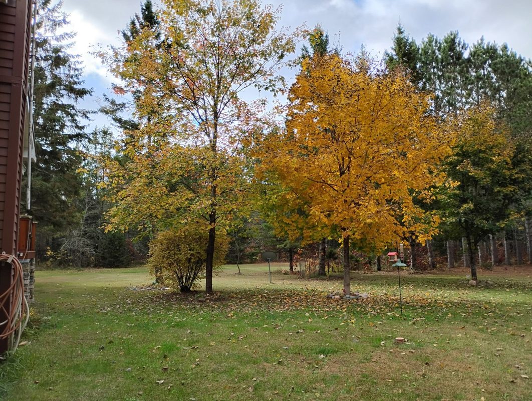 W3602 Willers Road, Springbrook WI 54875 - Residential house for sale - MLS #1602817 - image46