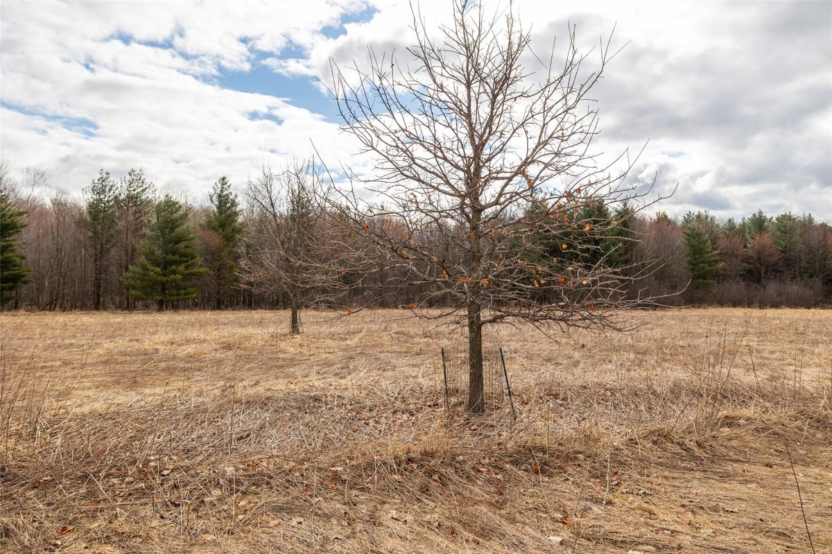 2742 Pray Avenue Neillsville WI 54456 — photo 12