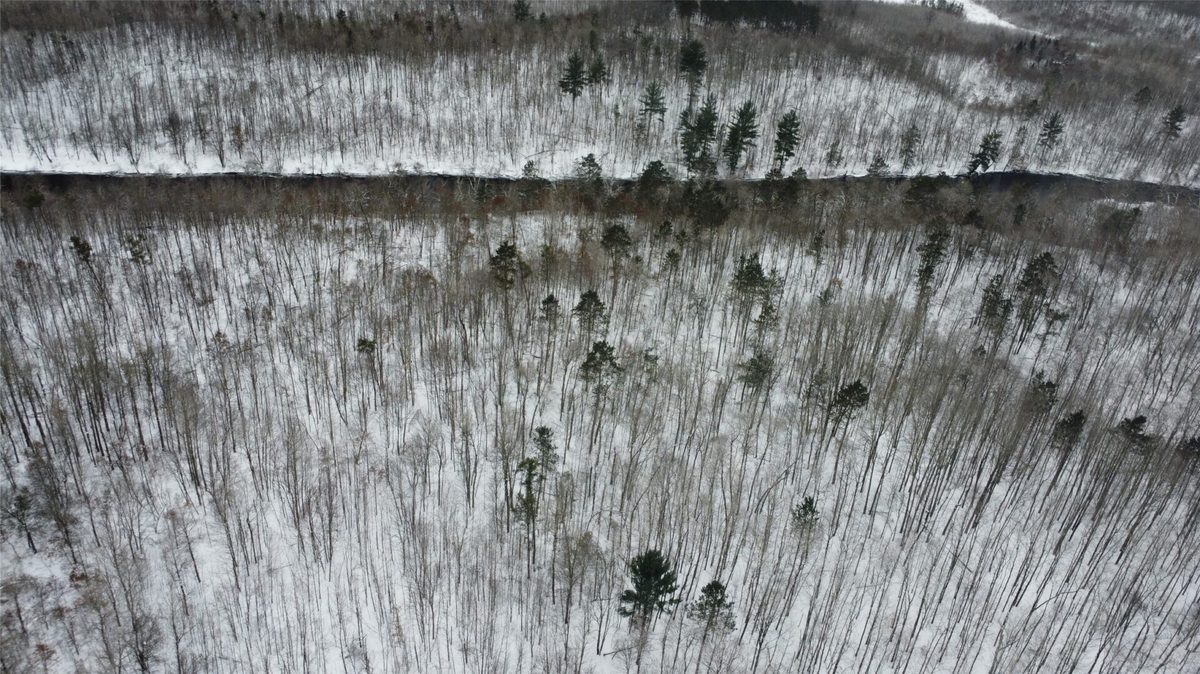 W 7975 Bramer Road, Trego, WI — photo 10