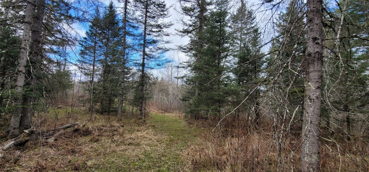 11553N County Highway A, Hayward WI 54843 - Land house for sale - MLS #1602465 - image4