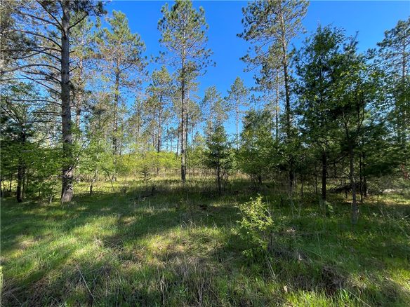 Lot 2 Elaine Drive, Hayward WI 54843 - Land house for sale - MLS #1591963 - image1