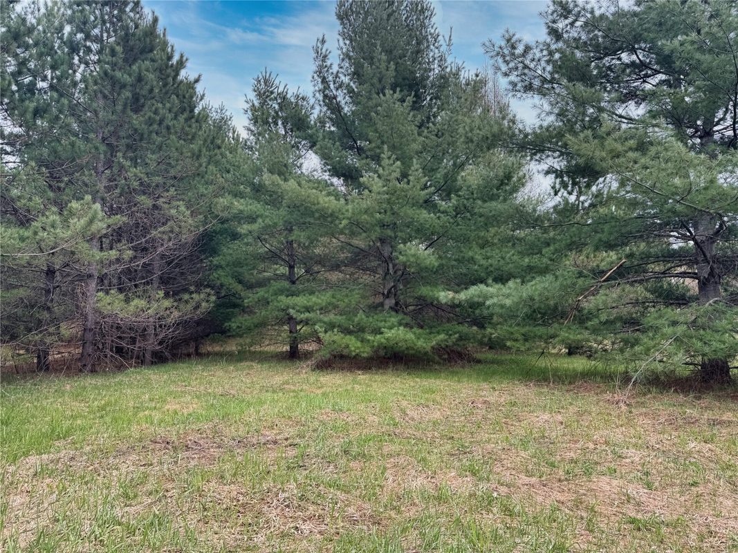 Lot 3 (5 acres) on County Rd P, Lake Nebagamon, WI — photo 17