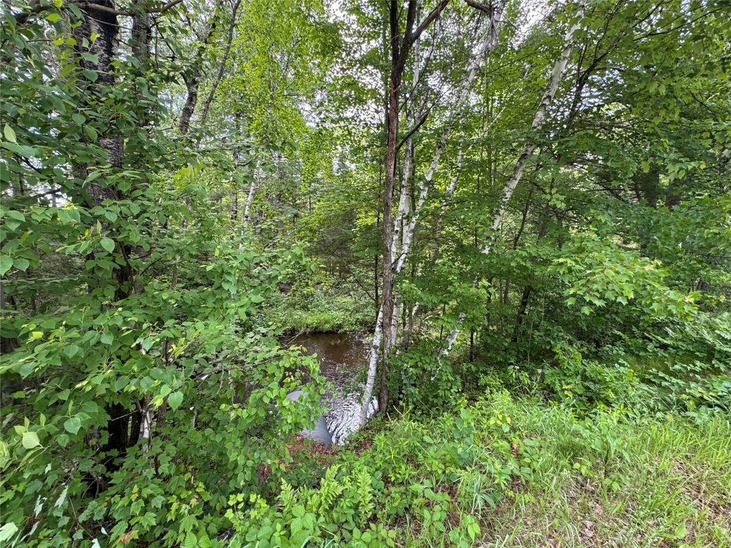 N 6398 Fred Tripp Road, Springbrook WI 54875 - Land house for sale - MLS #1602077 - image6