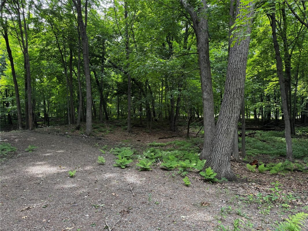XXX County Road I, Balsam Lake WI 54810 - Land house for sale - MLS #1602879 - image11
