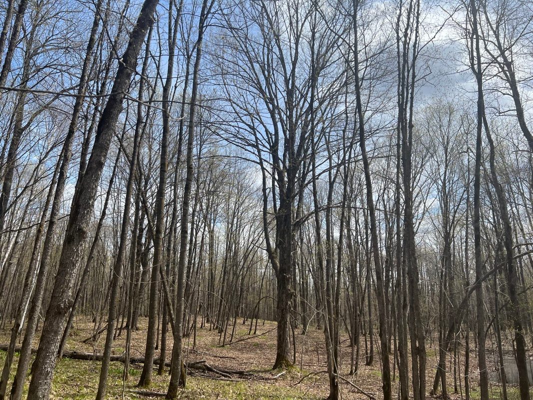 TBD Golf Course Road, High Bridge, WI — photo 24