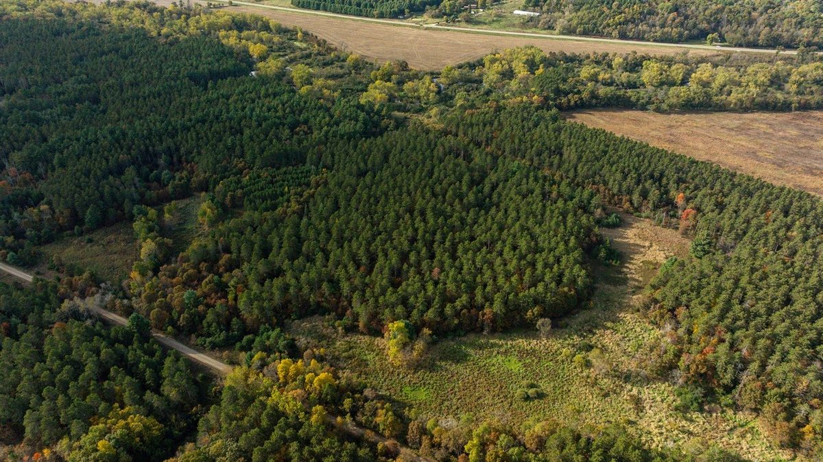 0 Prairie Road, Osseo WI 54758 - Land house for sale - MLS #1605860 - image8