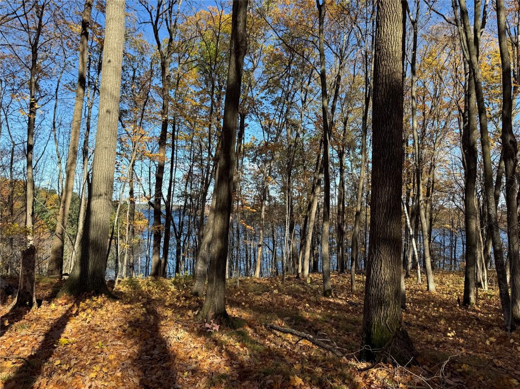 XXX County Hwy MD, Sarona WI 54870 - Land house for sale - MLS #1605948 - image28