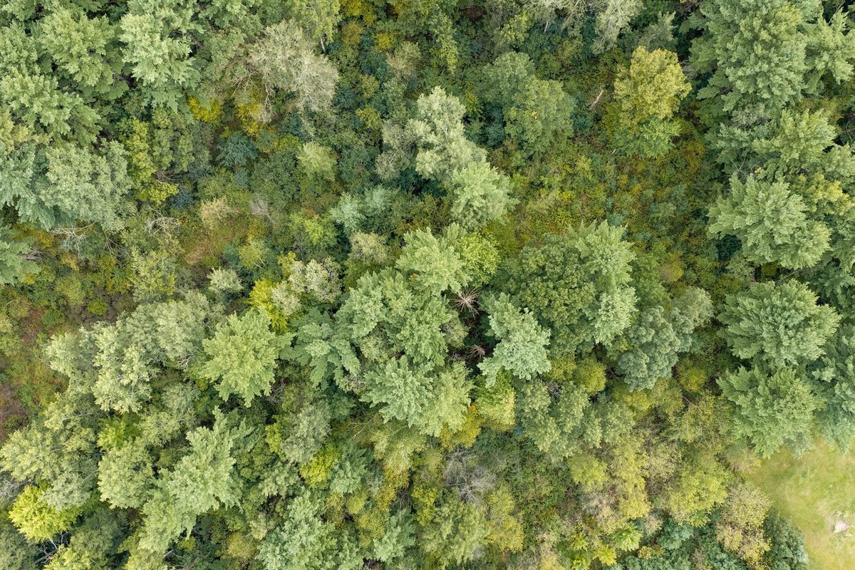Lot 2 County Hwy X, Cadott WI 54727 - Land house for sale - MLS #1605345 - image16