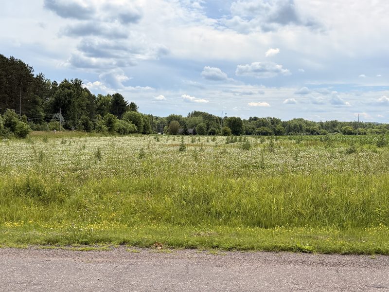 Lot 4 Main Street