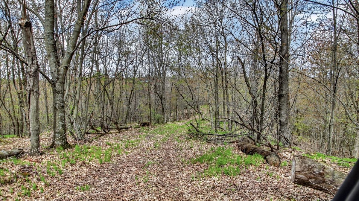 N9370 County Road P, Blair WI 54616 - Residential house for sale - MLS #1600694 - image41