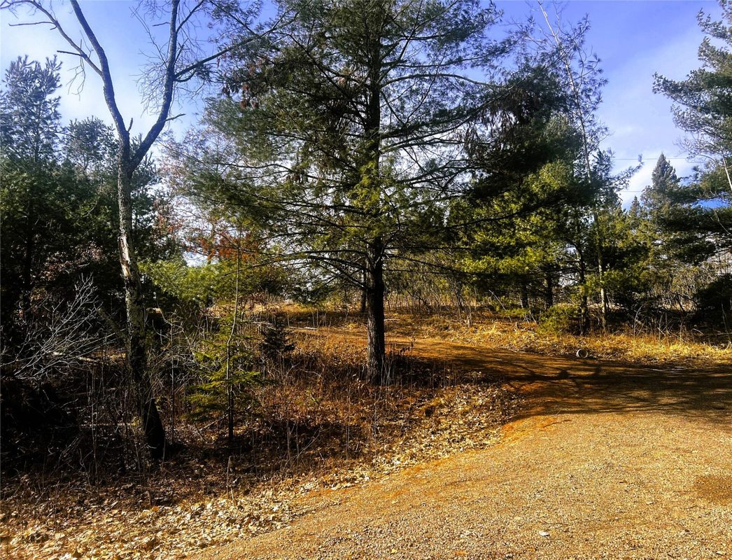 N3720 State Highway 40, Bruce WI 54819 - Land house for sale - MLS #1603658 - image13