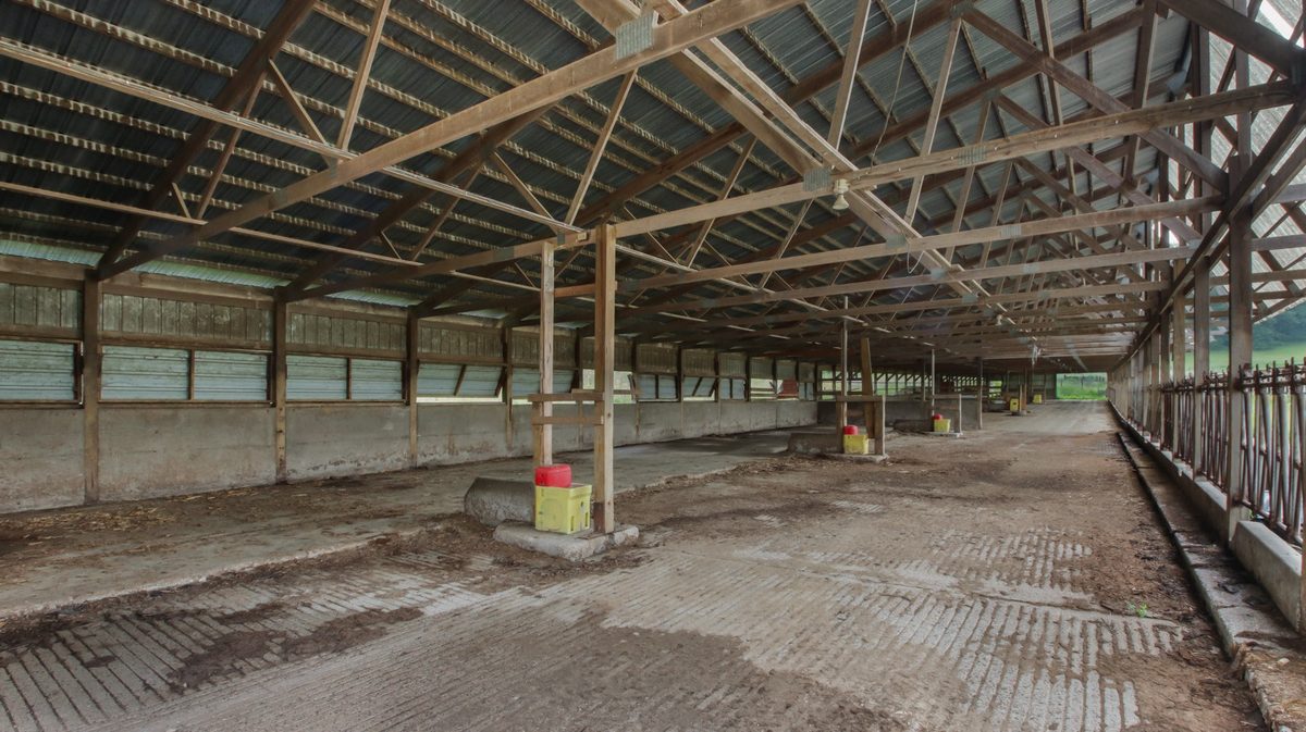 N3684 Claire Road Taylor WI 54659 — photo 35