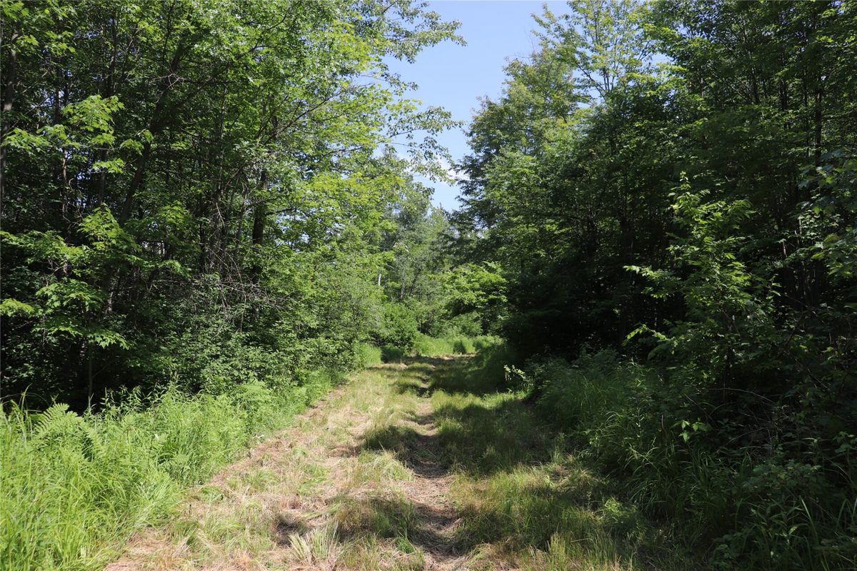 S11305 Kempton Road, Augusta WI 54722 - Land house for sale - MLS #1602723 - image54