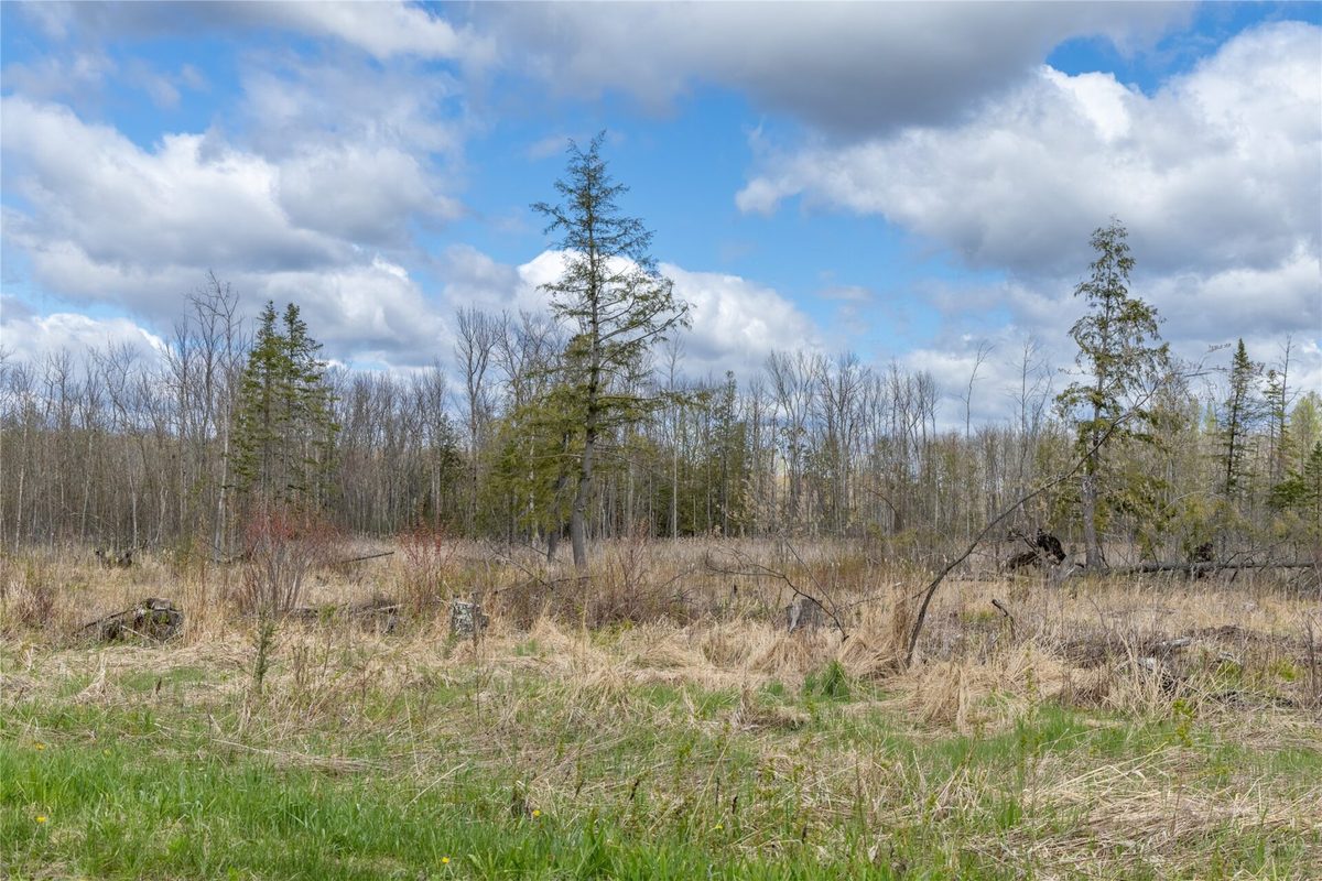 40 Acres Anderson Road & School Road, Glen Flora WI 54526 - Land house for sale - MLS #1601150 - image16