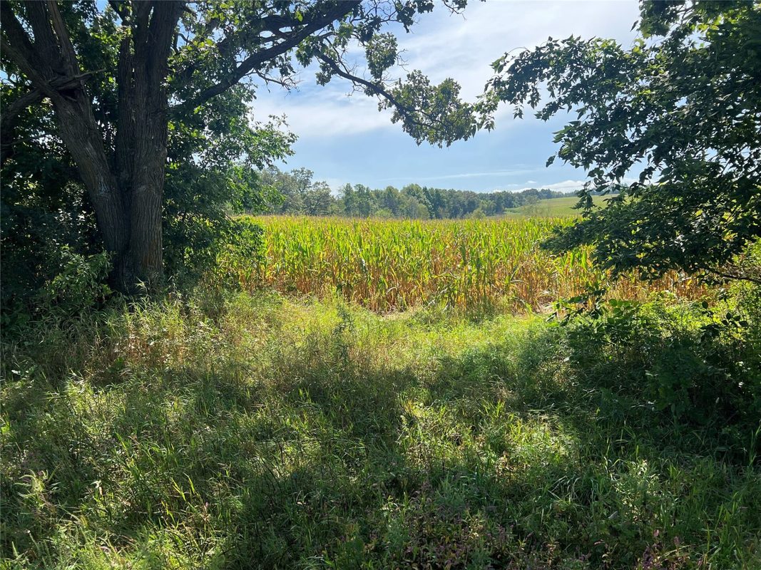 14207 Holmes Road, Hixton WI 54635 - Farm house for sale - MLS #1604847 - image49
