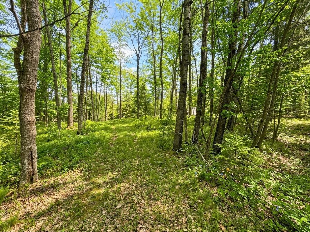 2861 29 7/16 Avenue, Birchwood WI 54817 - Land house for sale - MLS #1599164 - image2