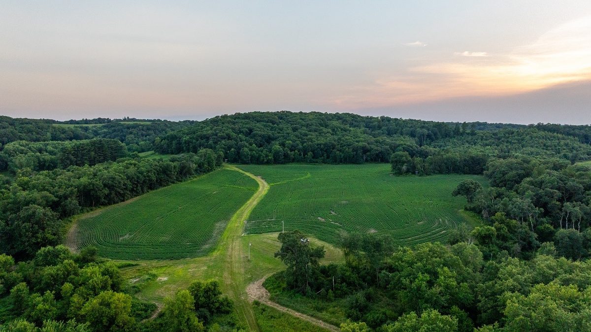 0 County Road S Blair WI 54616 — photo 59