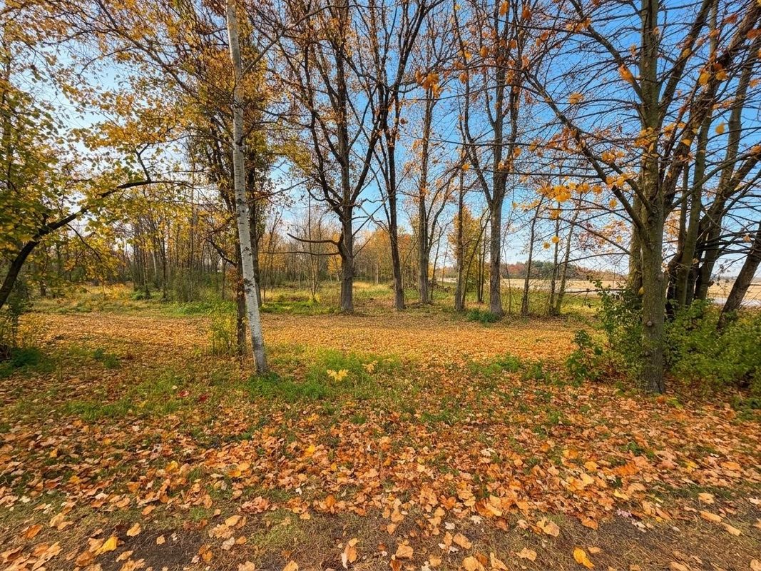 Lot 1 East Street, New Auburn WI 54757 - Land house for sale - MLS #1605670 - image4