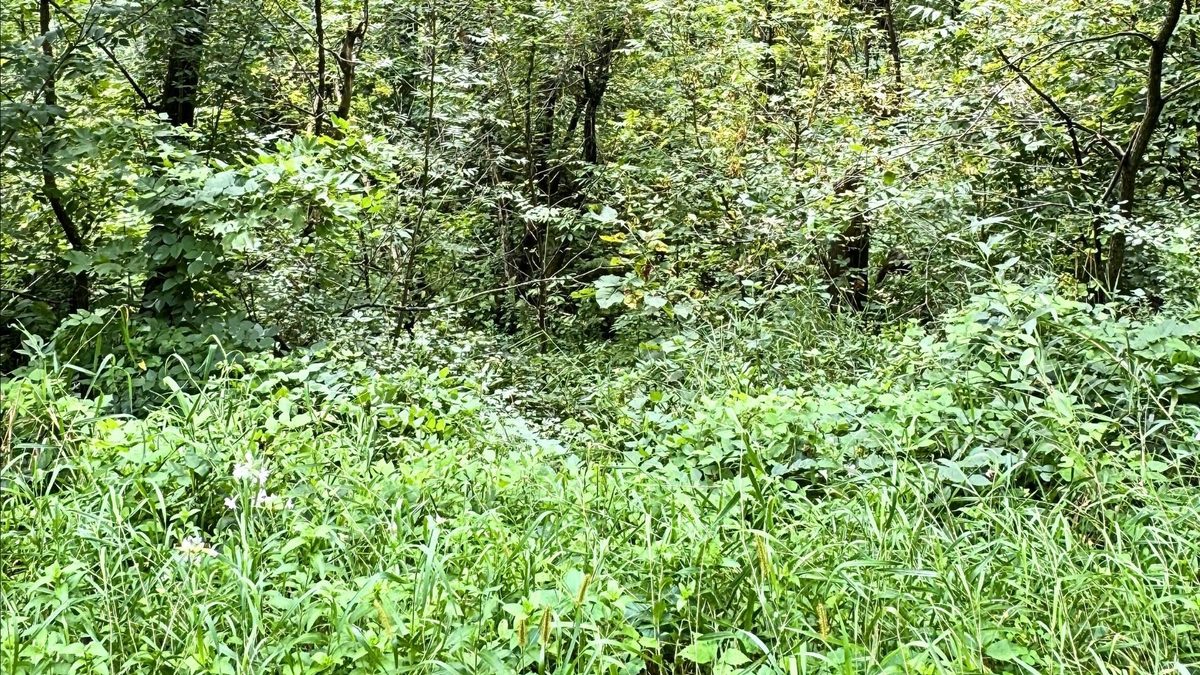 E4072 440th Avenue, Menomonie WI 54751 - Residential house for sale - MLS #1604712 - image8