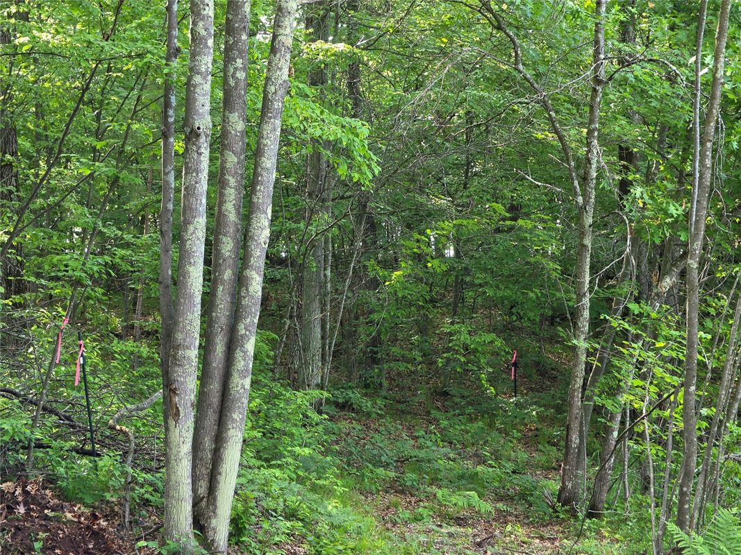 27646 295th (Lot 14) Avenue, Holcombe WI 54745 - Land house for sale - MLS #1602155 - image14