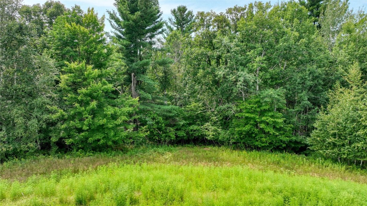 N1395 Grouse Road, Sarona WI 54870 - Residential house for sale - MLS #1603868 - image18