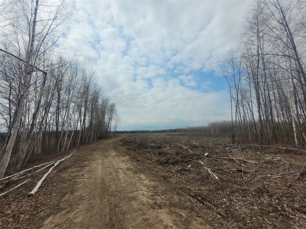 On Dean Road, Ladysmith WI 54848 - Land house for sale - MLS #1605065 - image5
