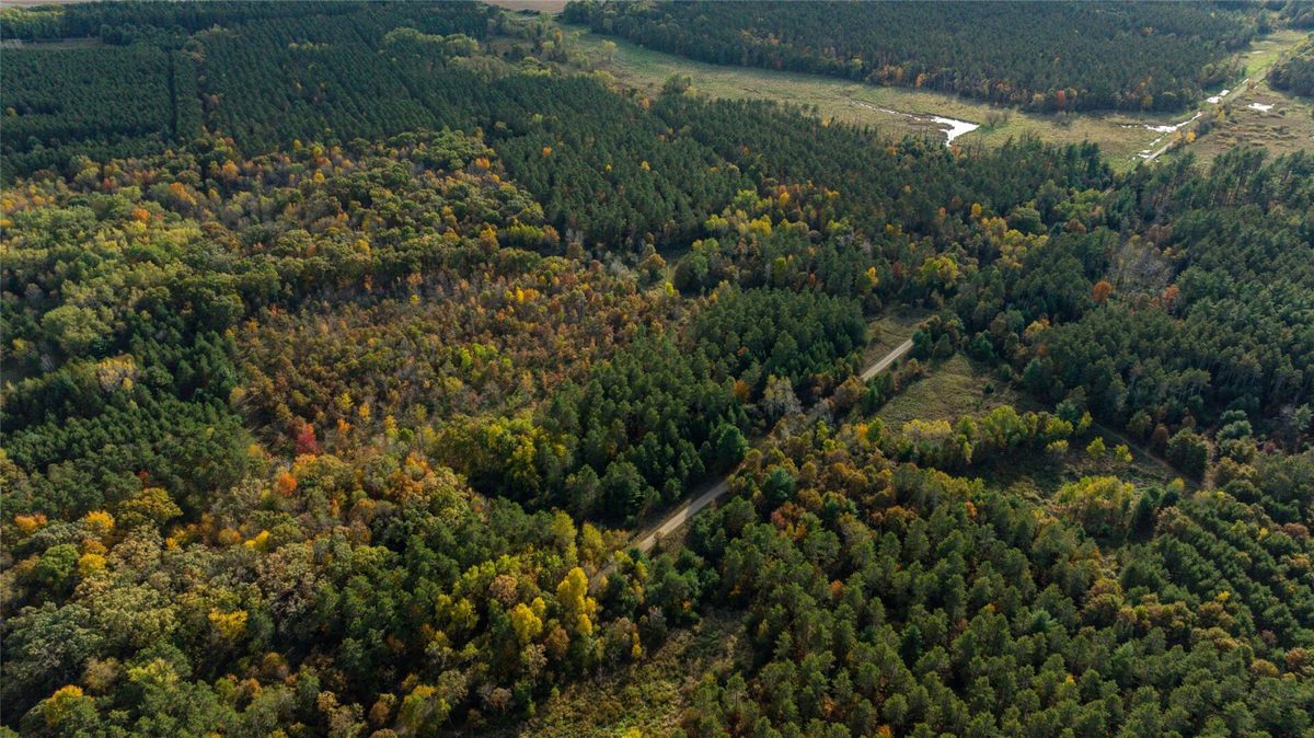 0 Prairie Road, Osseo WI 54758 - Land house for sale - MLS #1605860 - image10