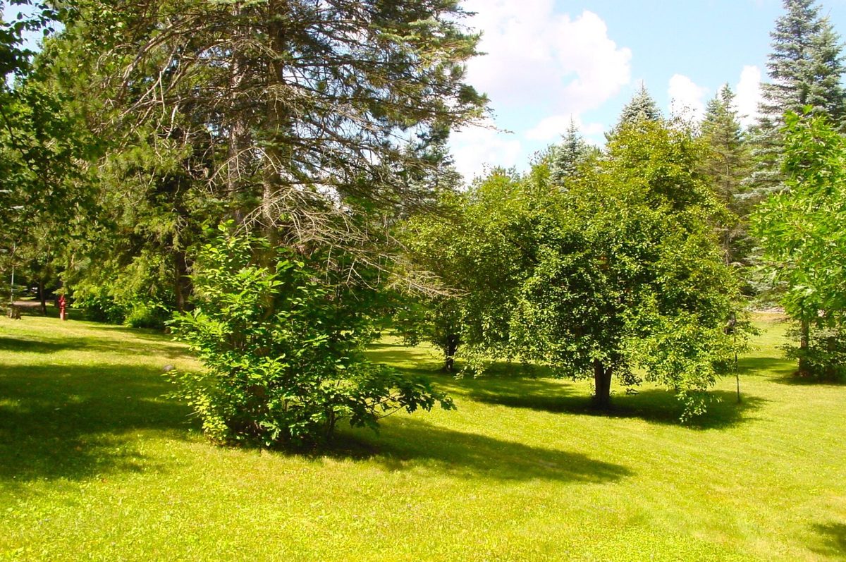 W10529 US Highway 8, Ladysmith WI 54848 - Residential house for sale - MLS #1603124 - image7