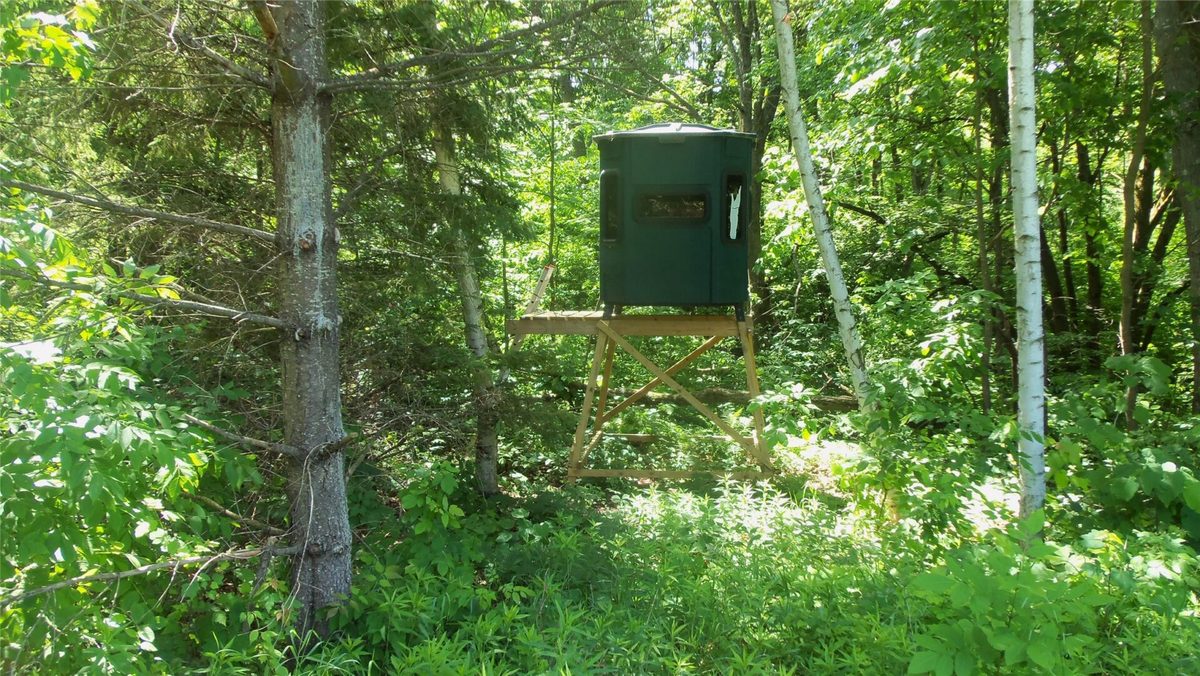 XXX Bashaw Store Road, Shell Lake WI 54871 - Land house for sale - MLS #1603494 - image22