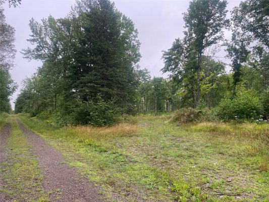 On Doland Road Loretta WI 54896 — photo 1